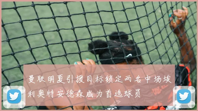 曼联明夏引援目标锁定两名中场埃利奥特安德森成为首选球员